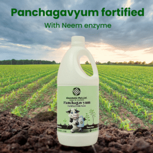Panchagavyum fortified with Neem enzyme