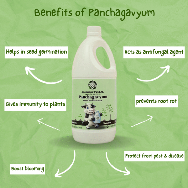 Panchagavyum fortified with Neem enzyme